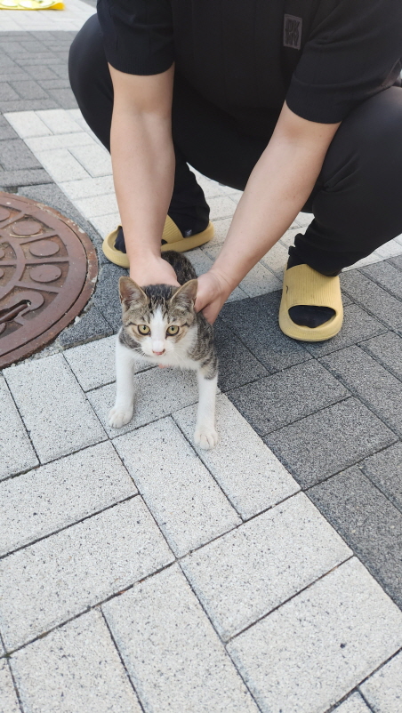 익산유기동물보호소_445468202402811